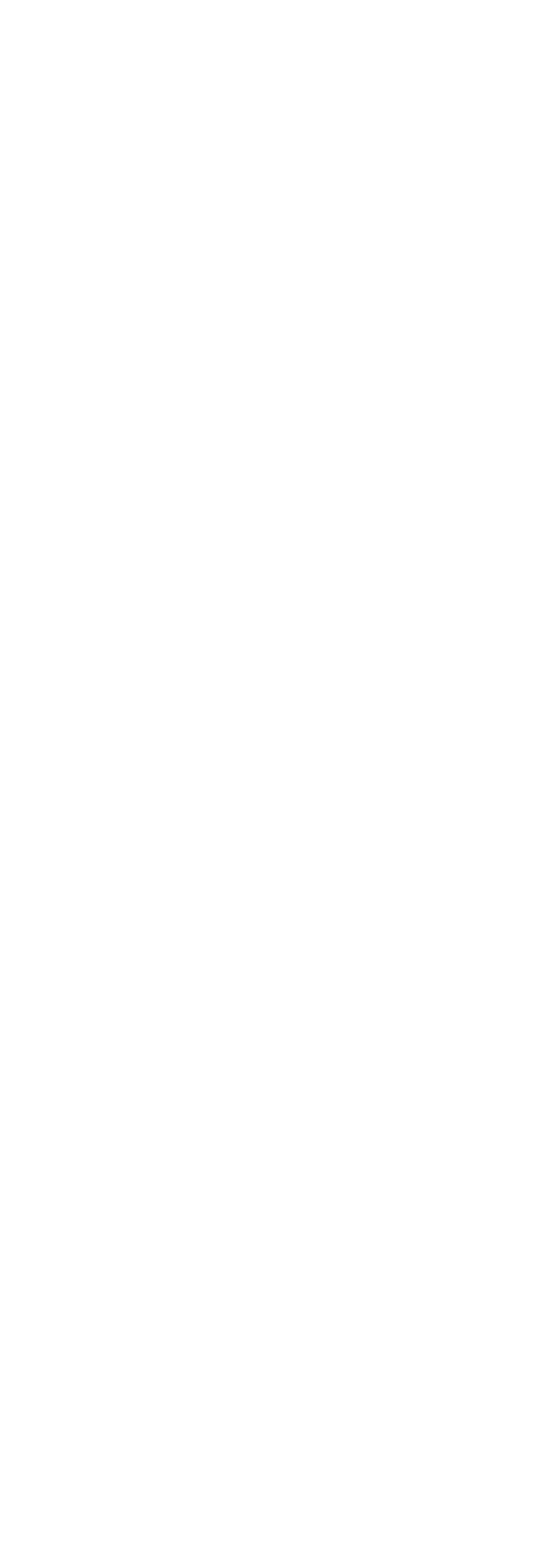 COPA INTERCONTINENTAL